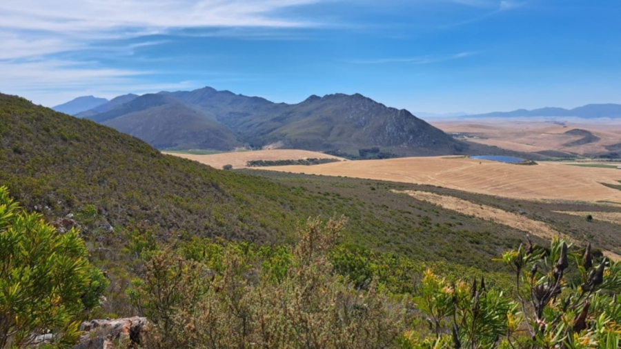 0 Bedroom Property for Sale in Caledon Rural Western Cape